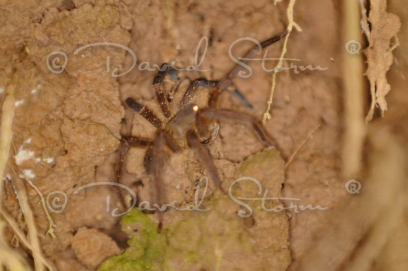 Amazon region, Peru near Colombia.