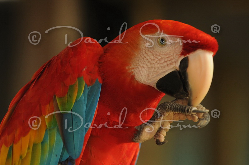 Amazon region, Peru near Colombia.